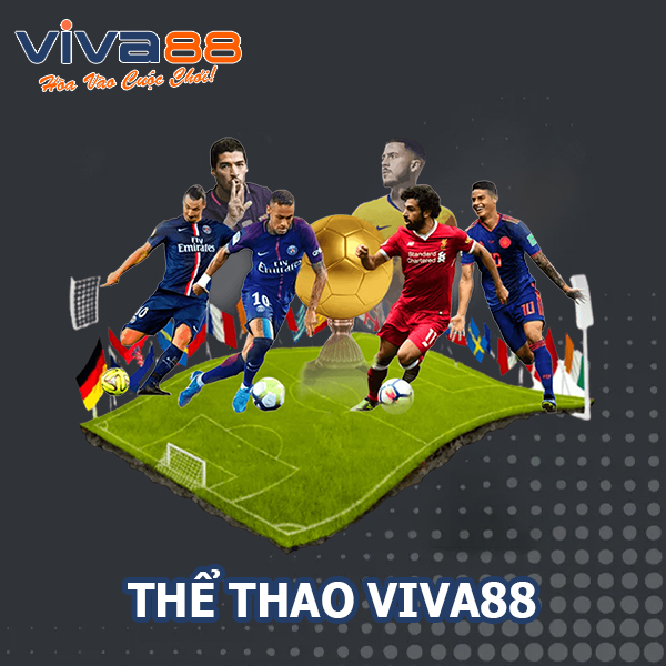 Nhà Cái Thể Thao Viva88